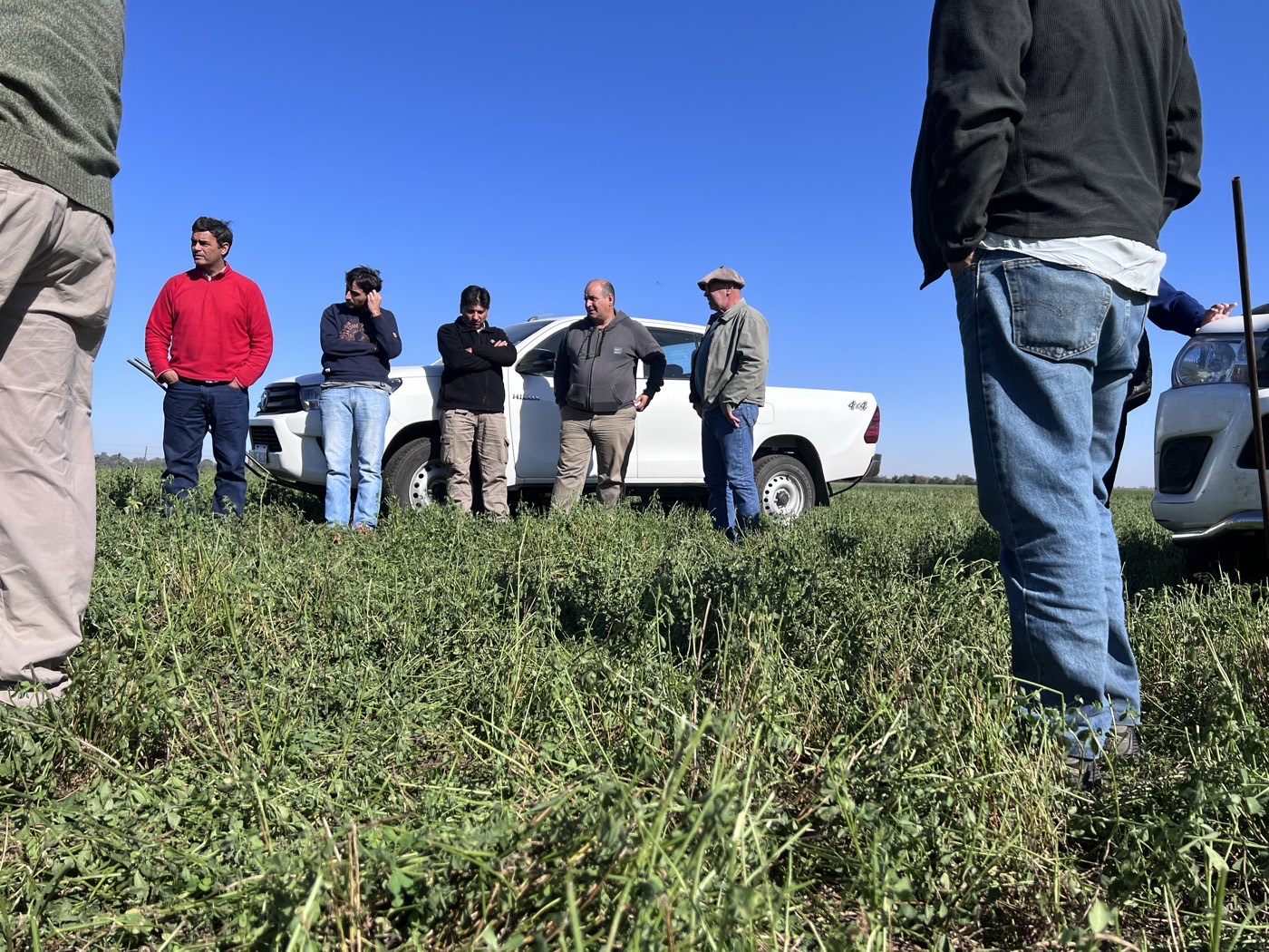 Grupo de productores en el lote durante una jornada de diagnóstico
